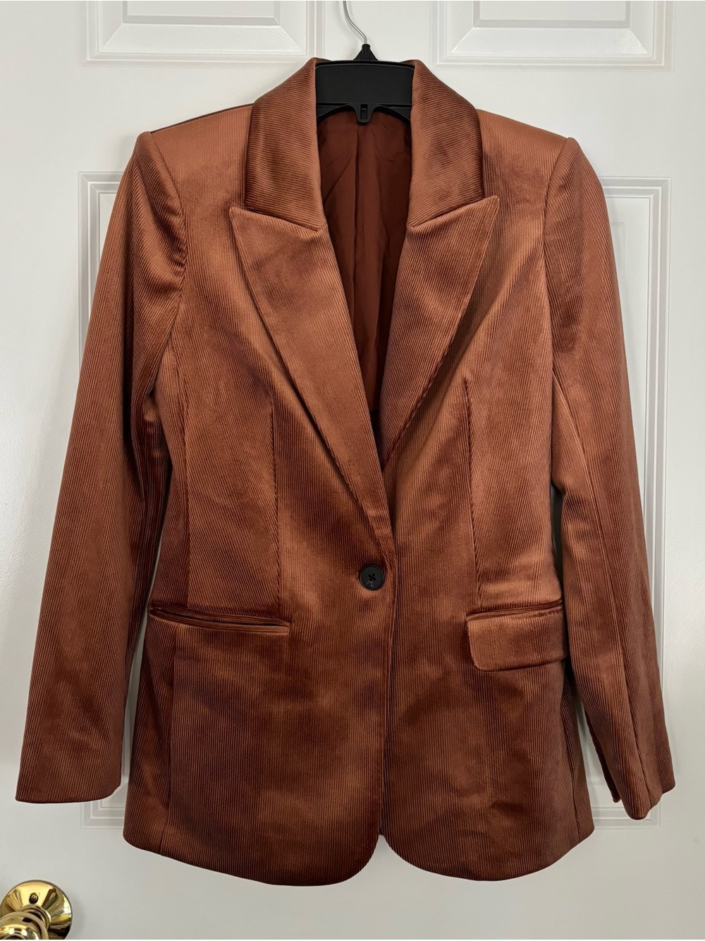 Express Women's Single-Button Velvet Blazer in Rust